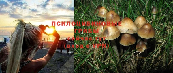 круглые Майский